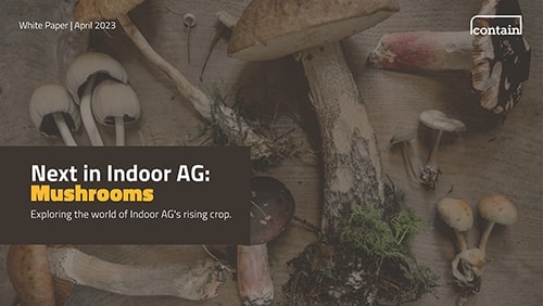 Featured image for “Next in Indoor AG: Mushrooms.  Exploring the world of Indoor AG’s rising crop.”