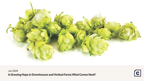 Hops in Indoor Farms